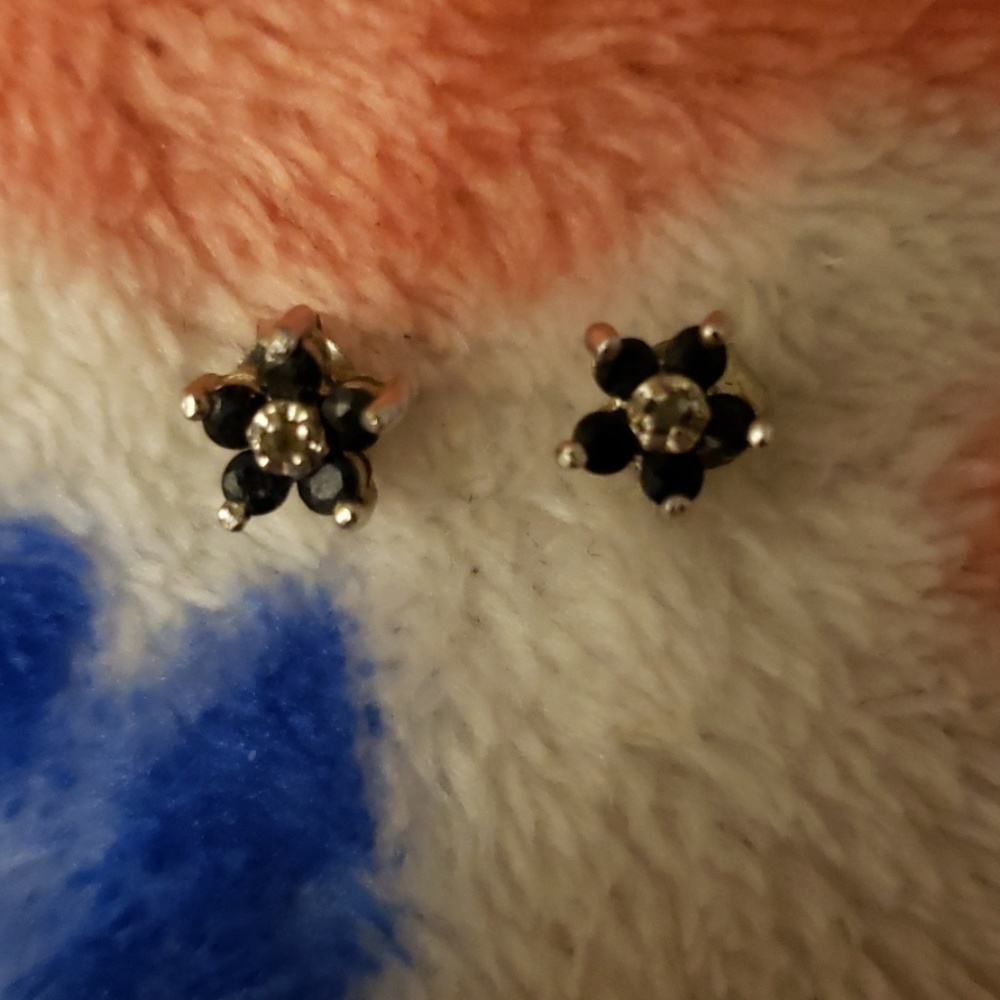 SS sapphire earnings